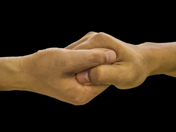 Arlekin Casino Suporte